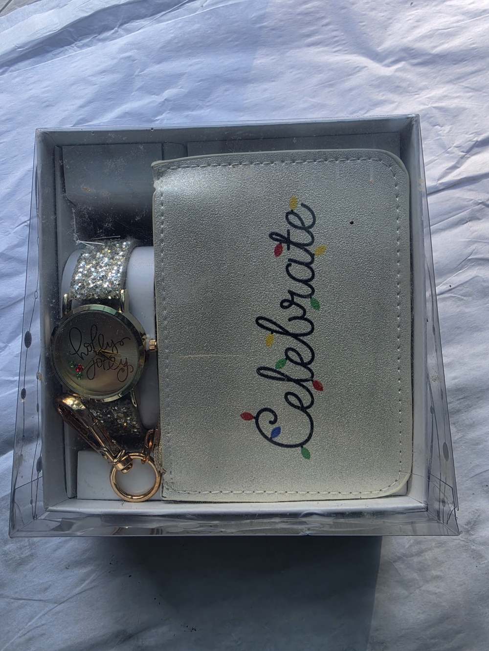 Silver Women's Celebrate Wallet and Coordinating Watch Set